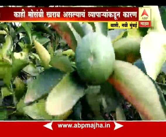 नवी मुंबई | वाशी एपीएमसी मार्केटमध्ये मोसंबीचे लिलाव ठप्प