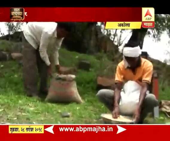 712 अकोला| पीक सल्ला| रब्बी हंगामाची तयारी