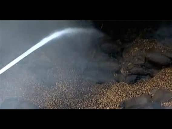 મગફળી કૌભાંડને લઈને સરકારે વિધાનસભામાં શું કરી કબૂલાત? જુઓ વીડિયો