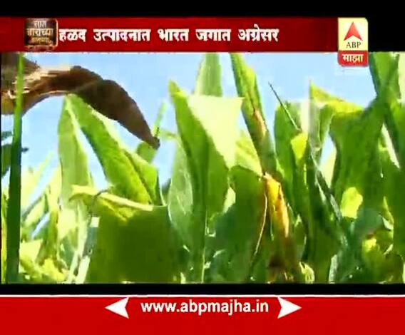 712 | मुंबई | हळद उत्पादनात भारत जगात अग्रेसर