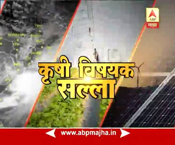 712 | पीक सल्ला | खरीप पिकांची काळजी कशी घ्याल?