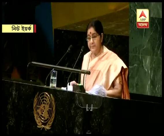 সন্ত্রাসবাদে মদত দেওয়া পাকিস্তানের নীতি, রাষ্ট্রপুঞ্জে তোপ বিদেশমন্ত্রীর