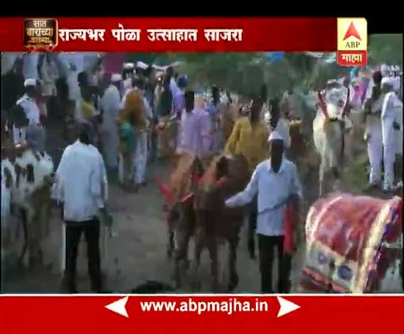 712 | राज्यात पोळा उत्साहात साजरा, विदेशी पर्यटकांचीही हजेरी