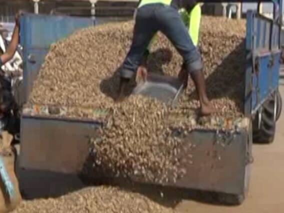 અસ્મિતા વિશેષઃ ધરતીપુત્રનો પોકાર