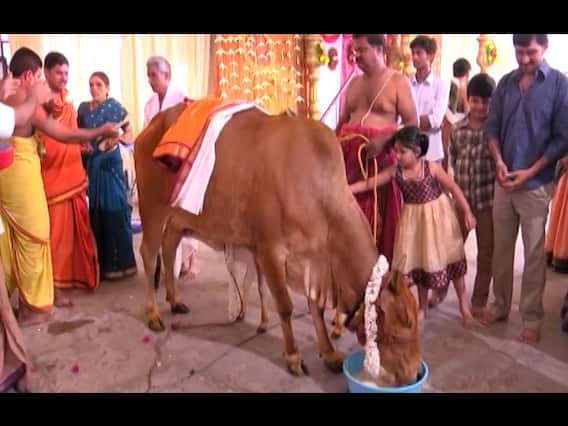 Master Stroke: Rajasthan's Pathmeda Godham not getting any support from Vasundhara govt. 