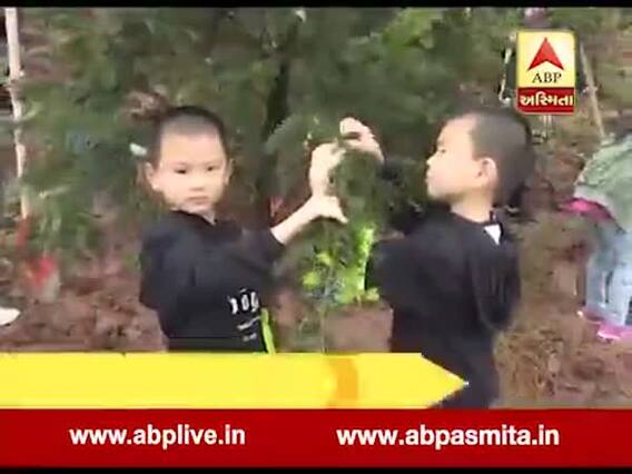 ચીનનું ટ્વિંસ ટાઉન, 367 ઘરોમાં 42 જોડિયા બાળકો, જુઓ વીડિયો 