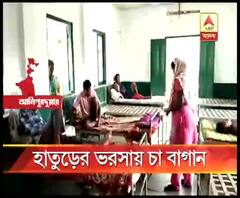 আলিপুরদুয়ারের বেশিরভাগ স্বাস্থ্যকেন্দ্রের ভরসা হাতুড়ে, দ্রুত প্রশিক্ষিত চিকিৎসক নিয়োগের নির্দেশ জেলা স্বাস্থ্য দফতরের