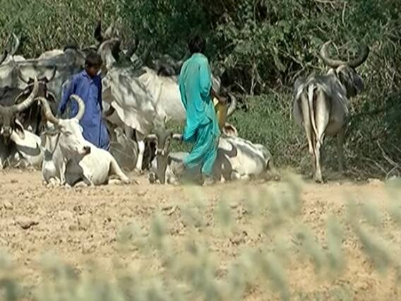 અસ્મિતા વિશેષઃ પાણીની શોધ