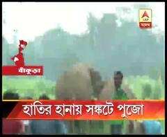 বাঁকুড়ার এই গ্রামে হাতির তাণ্ডবে নষ্ট হয়েছে ফসল। সঙ্কটে দেবীর পুজো