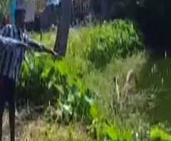 বারুইপুরে পুকুর থেকে উদ্ধার ভাই-বোনের মৃতদেহ, জলে ডুবে মৃত্যু, অনুমান পুলিশের