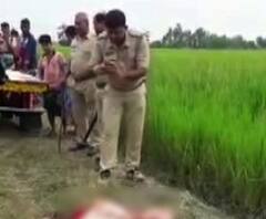 ধানক্ষেতের মধ্যে মাটির রাস্তায় পড়ে মহিলার মুণ্ডহীন দেহ, চাঞ্চল্য কুলতলিতে