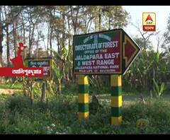 ঢুকতে পারে চোরাশিকারী, জলদাপাড়া জাতীয় উদ্যানে বাড়ানো হল নিরাপত্তা