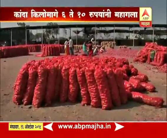 712 | कांदा किलोमागे 6 ते 10 रुपयांनी महागला, दसऱ्यापर्यंत भाव आणखी वाढण्याची शक्यता 