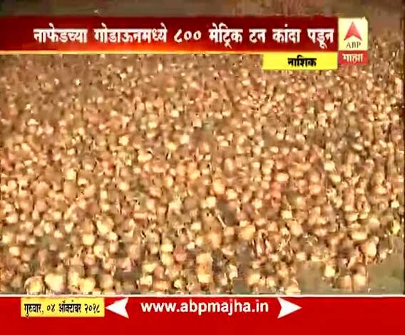 नाशिक | बाजारपेठेअभावी नाफेडच्या गोदामात 800 मेट्रिक टन कांदा पडून