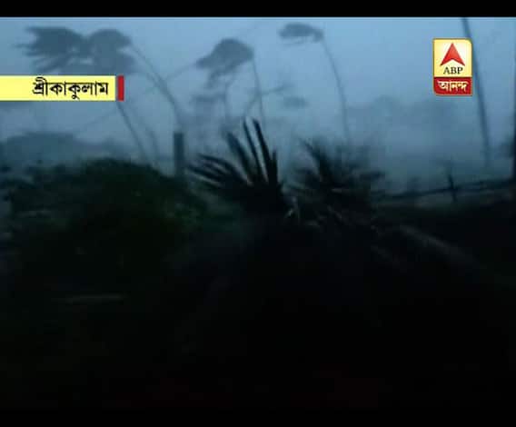 ঘূর্ণিঝড় তিতলির তাণ্ডবে বিপর্যস্ত ওড়িশা-অন্ধ্রপ্রদেশ, মৃত ৮