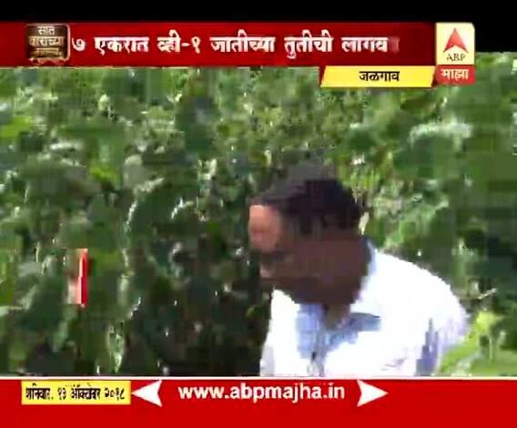 712 | जळगाव | शेतीतील नवदुर्गा | रेशीम उद्योग यशस्वी करणाऱ्या सीमा पाटील यांची कहाणी