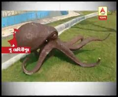 সৈকতে বসেছে আলো, তৈরি হয়েছে পার্ক, পুজোর আগে নতুন রূপে শঙ্করপুর, মন্দারমণি