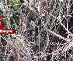 সিউড়িতে পরপর বিস্ফোরণ, আহত এক ব্যক্তি, এলাকায় আতঙ্ক