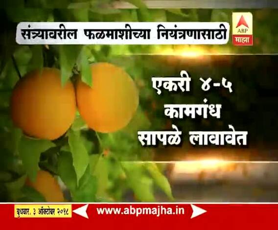 712 | अशी घ्या पिकांची काळजी...