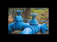 વડોદરામાં આવતીકાલથી બે દિવસ રહેશે પાણીકાપ, જુઓ વીડિયો 