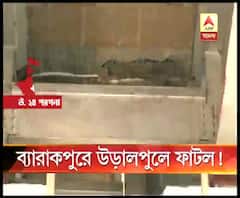 ব্যারাকপুরের লালকুঠি উড়ালপুলের দুটি গার্ডারের মাঝে ফাটল, আতঙ্কিত স্থানীয়রা