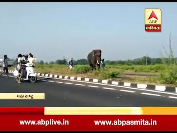 મહારાષ્ટ્રના ગામમાં કેમ લાવવામાં આવ્યા હતાં હાથી? જુઓ વીડિયો