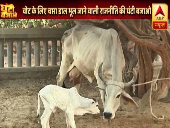 Ghanti Bajao Full(24.10.18): Is cow protection just a medium of vote bank? 