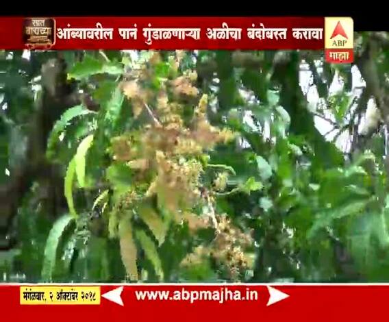 712 | पीक सल्ला | अशी घ्या पिकांची काळजी...