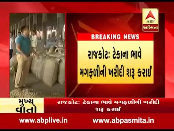 તાતને ટેકો: ટેકાના ભાવે મગફળીની ખરીદી શરૂ કરાઈ, જુઓ વીડિયો 