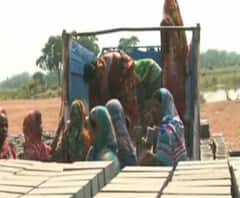 ঝাড়গ্রামের এই ইঁটভাটা চালান মহিলারা, তৈরি পরিবেশ বান্ধব ইঁট