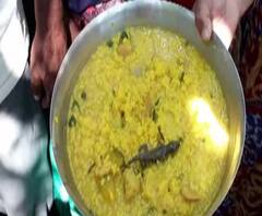 বাঁকুড়ায় অঙ্গনওয়াড়ি কেন্দ্রের খিচুড়িতে টিকটিকি! বিক্ষোভ অভিভাবকদের, আটক ২ কর্মী