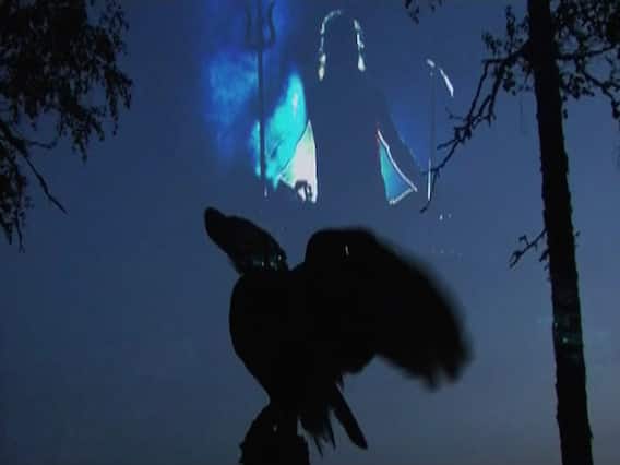 How are owls related to Diwali? | Sansani