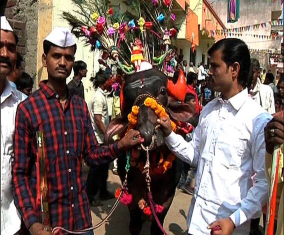 औरंगाबादेत भाऊबीजेसोबत सगरही उत्साहात साजरा | औरंगाबाद | एबीपी माझा