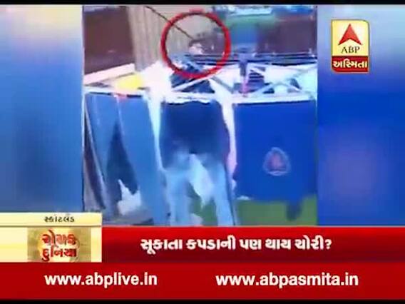 રોચક દુનિયા: સ્કોટલેન્ડમાં કપડા ચોરતા રમૂજી ચોરની હરકત, જુઓ વીડિયો 