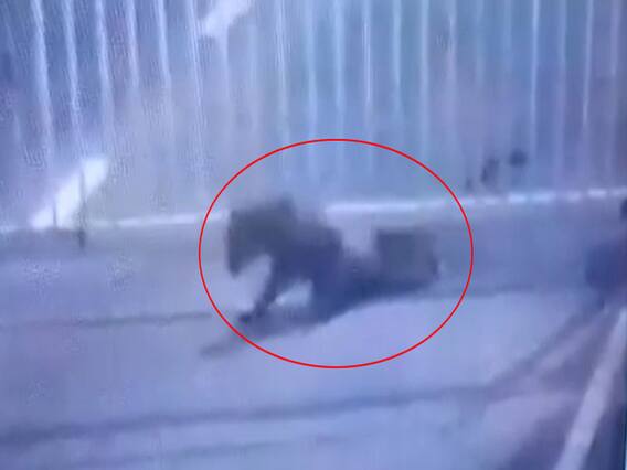 ગાંધીનગરઃ સચિવાલયમાં એક નહીં બે દીપડા ઘૂસ્યા છે, જુઓ વીડિયો