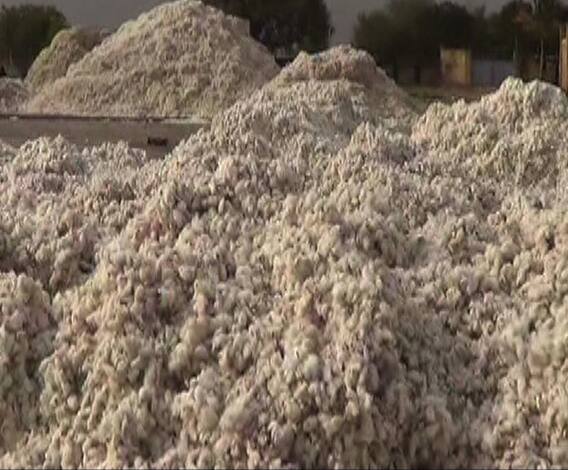 बांग्लादेशसोबत भारताचा कापसासाठी ड्युटी फ्री करार | 712 | एबीपी माझा