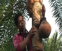 শীতের আকর্ষণ খেজুরের রস ও খেজুর গুড় 