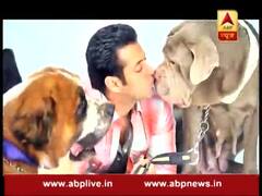 सलमान खान को बेहद खास तोहफा देने वाली हैं उनकी बहन अलवीरा 