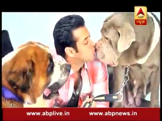 सलमान खान को बेहद खास तोहफा देने वाली हैं उनकी बहन अलवीरा 