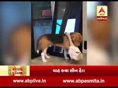 રોચક દુનિયા: વાહ ક્યા સીન હૈ, શ્વાન અને બતકનો ગાઢ પ્રેમ, જુઓ વીડિયો 