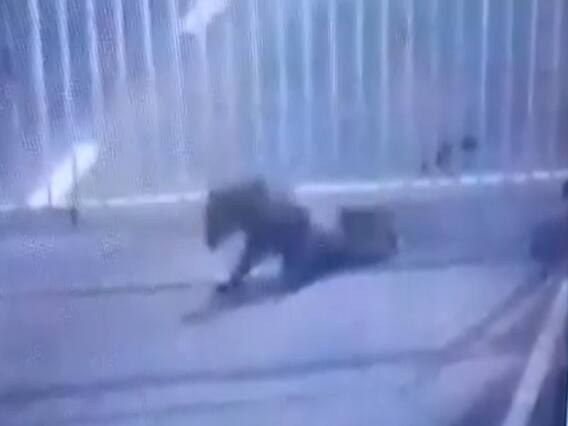 ગાંધીનગરઃ સચિવાલયમાં દીપડો ઘૂસતા ફફડાટ, કેવી રીતે ઘૂસ્યો દીપડો? જુઓ લાઇવ વીડિયો