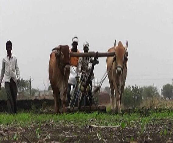 रब्बी पेरण्यांमध्ये 20 टक्के घट होण्याची शक्यता | 712 | एबीपी माझा