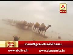 રોચક દુનિયા: સાઉદી અરેબિયાના રણમાં વરસાદ, જોવા મળી કુદરતની અનોખી કરામત,જુઓ વીડિયો 