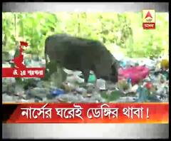 ভাটপাড়া স্টেট জেনারেল হাসপাতালের কোয়ার্টারে ডেঙ্গির থাবা