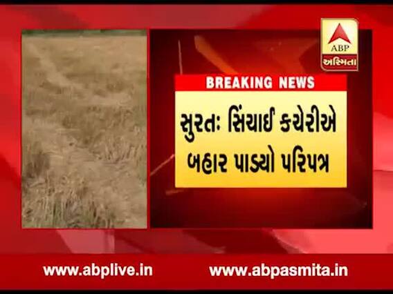 સુરતઃ સિચાઇ કચેરીનો તઘલખી નિર્ણય, ખેડૂતોને કહ્યુ- હવે ઉનાળુ ડાંગરનો પાક ના કરતા... ને થયો વિવાદ, જુઓ વીડિયો