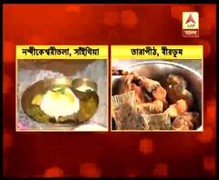 বীরভূমের সাঁইথিয়ার নন্দীকেশ্বরী তলায়, তারাপীঠে দেবীকে ভোগ নিবেদন