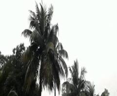 পশ্চিম মেদিনীপুরে সকাল থেকে আকাশের মুখ ভার, চলছে বৃষ্টি