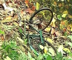 সোনারপুরে রাস্তার ধার থেকে উদ্ধার গলাকাটা দেহ