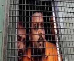 জলপাইগুড়ির ময়নাগুড়ি, ধূপগুড়ি সহ একাধিক এলাকায় পুলিশ আক্রান্ত হওয়ার ঘটনায় গ্রেফতার ৮