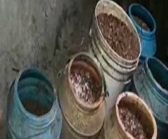 পশ্চিম মেদিনীপুরে চোলাই মদের ভাটি বন্ধে অভিযান পুলিশ ও জেলা আবগারি দফতরের